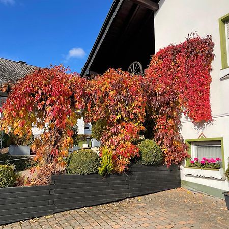 Pension Sonnenheim Winterberg Esterno foto