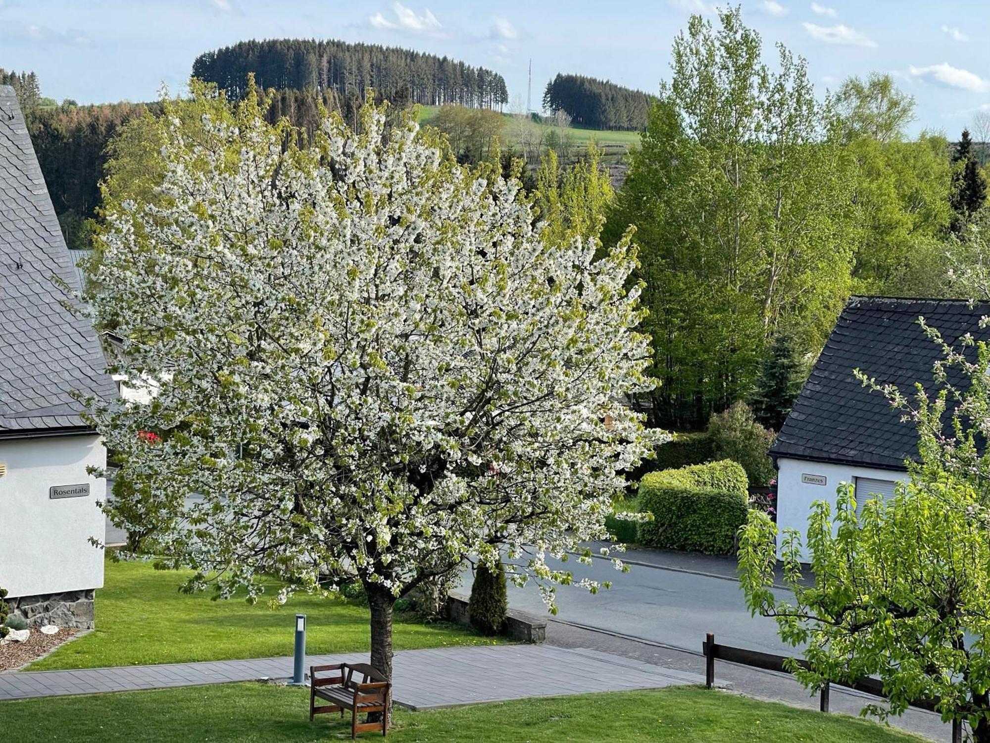 Pension Sonnenheim Winterberg Esterno foto