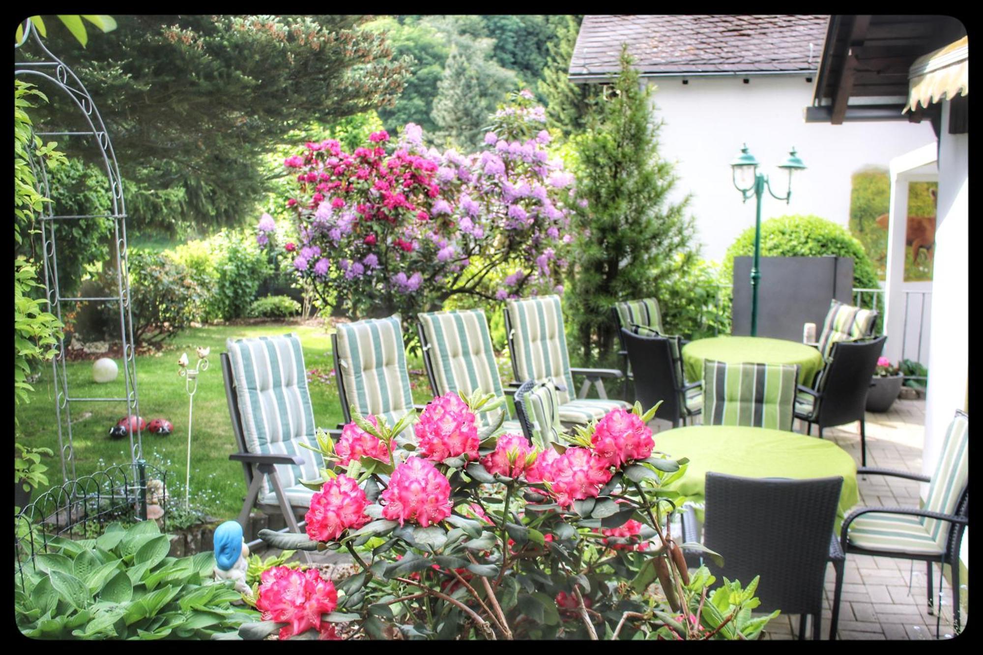 Pension Sonnenheim Winterberg Esterno foto