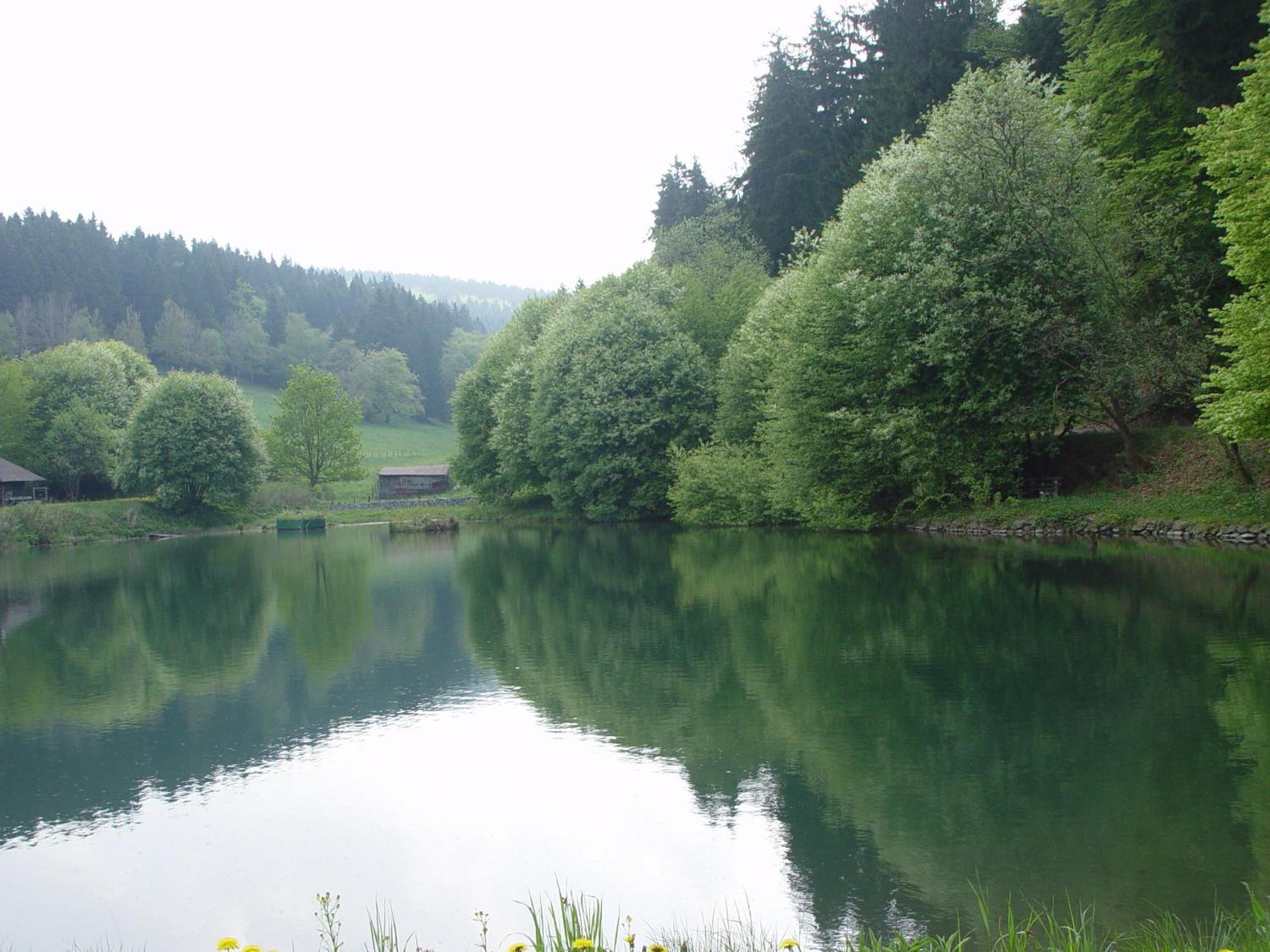 Pension Sonnenheim Winterberg Esterno foto